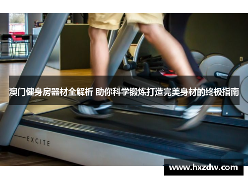 澳门健身房器材全解析 助你科学锻炼打造完美身材的终极指南